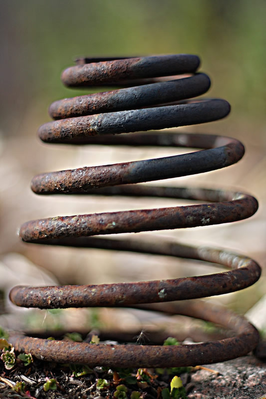 Honourable Mention Michelle Wilman